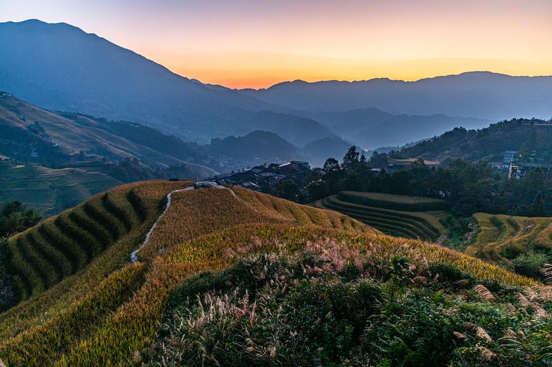 Китай. Осень. Террасы. Рис. Утро. Горы. Утро на рисовых террасах фото превью