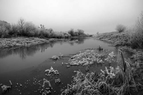 Осеннее серебро.