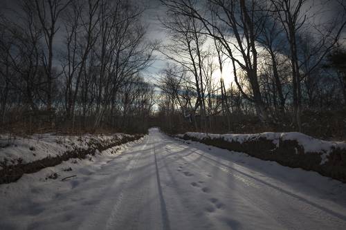 Зимняя дорога
