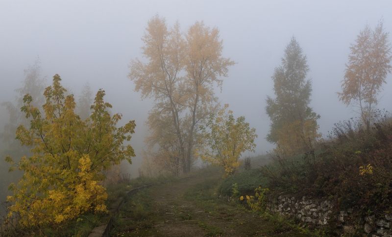 Утро фото превью