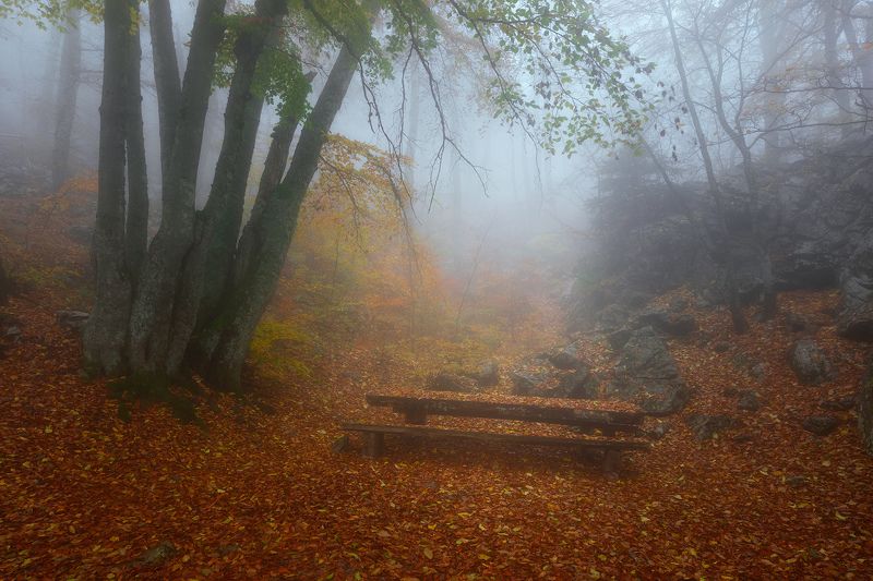 ****** фото превью