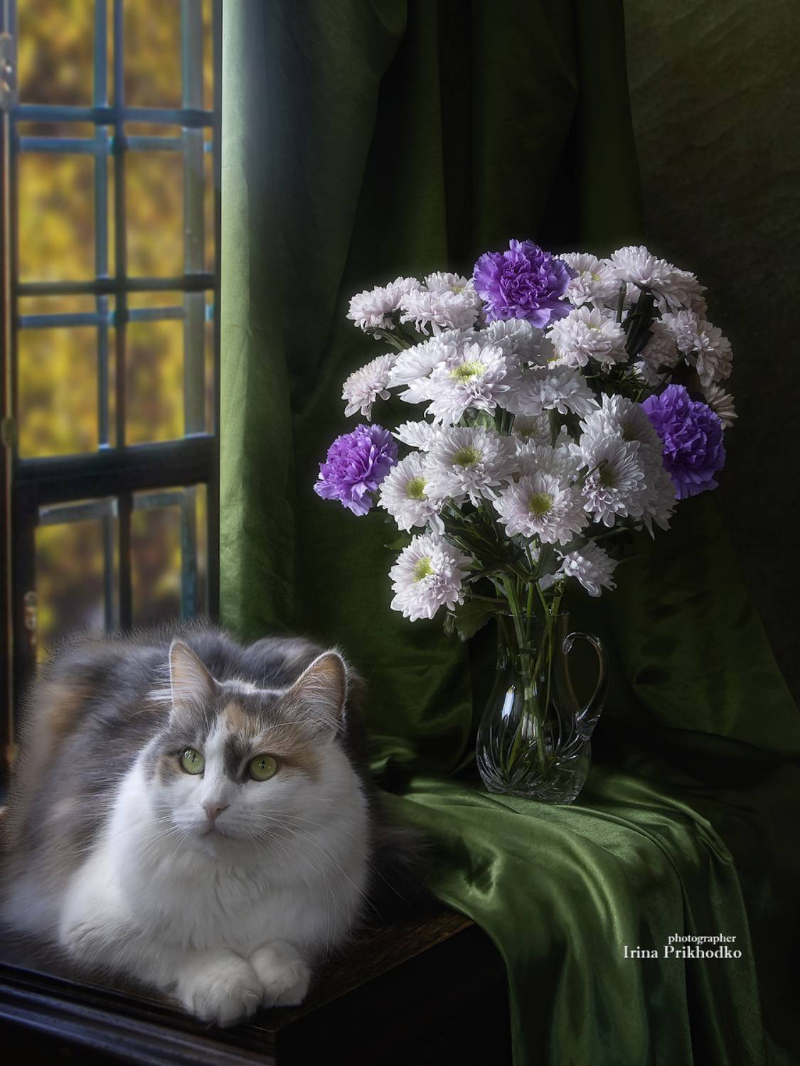 котопортрет, кошки, домашние животные, питомцы, интерьер, букет, Приходько Ирина