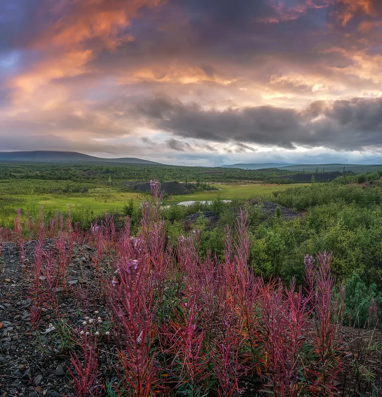 фото превью