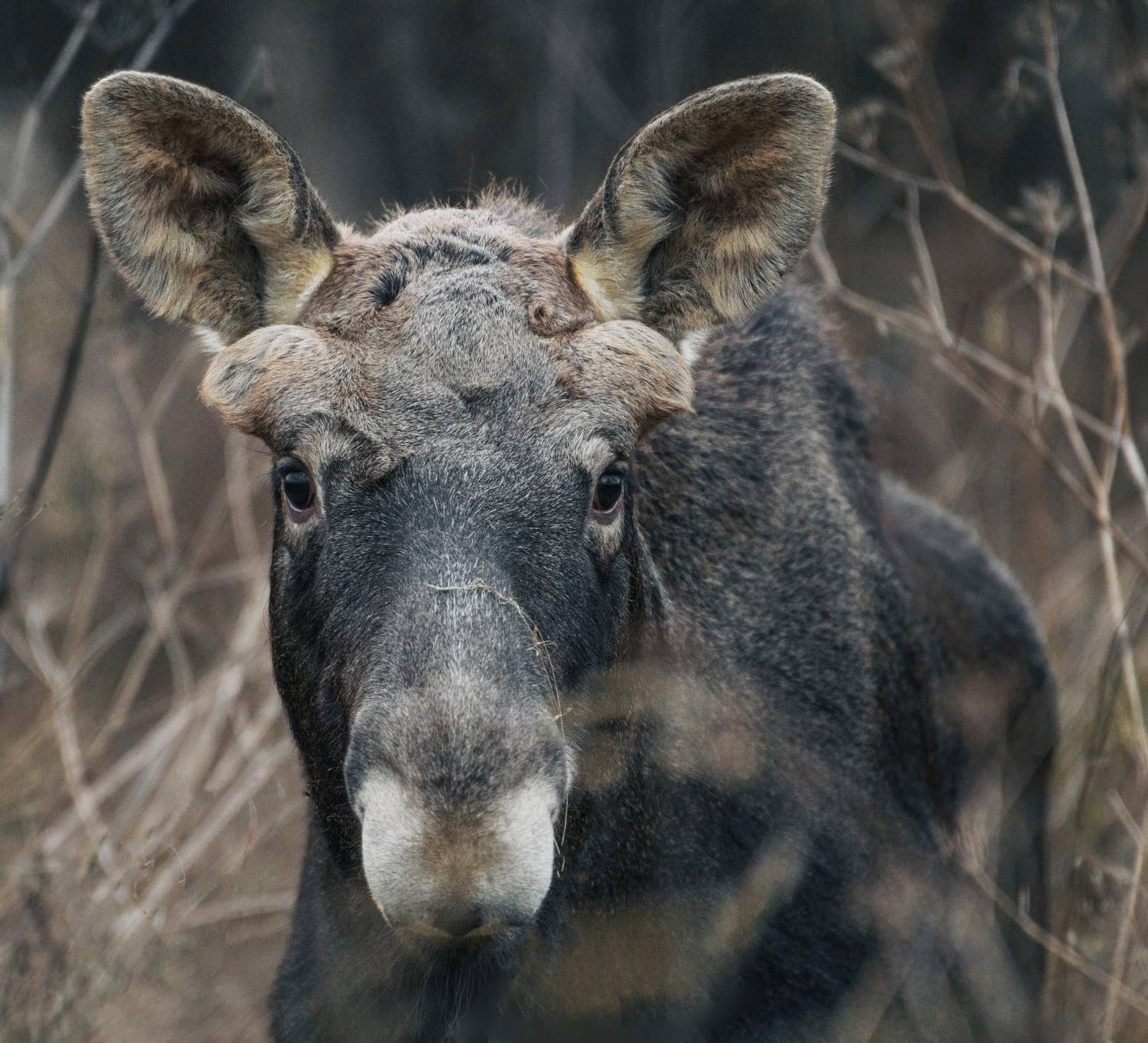 , Фото Александр