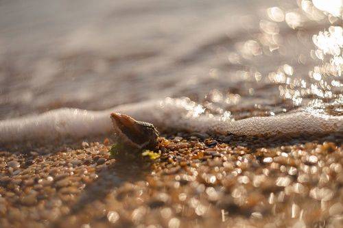 Истории осеннего побережья.