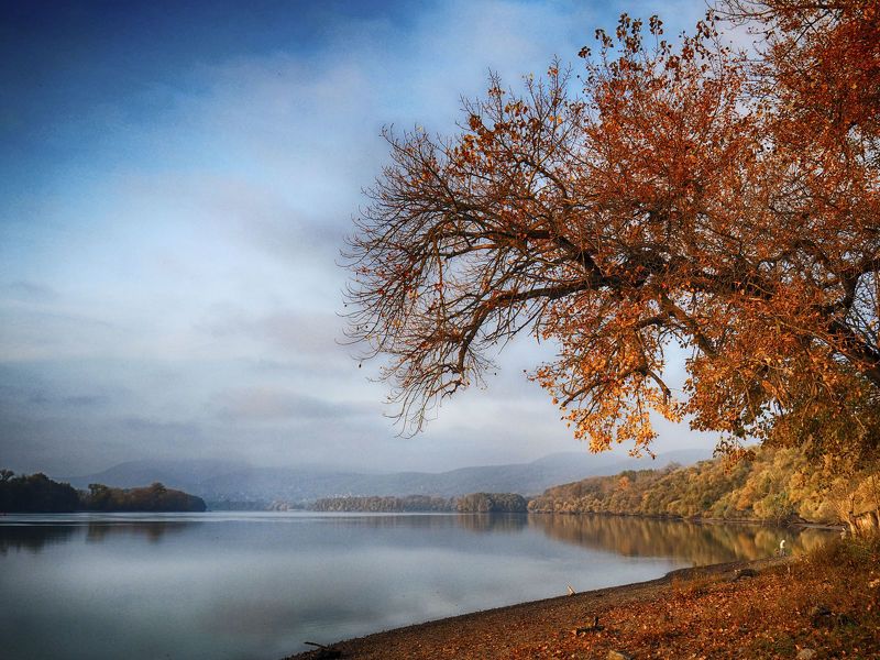 Autumn Danube 3 фото превью