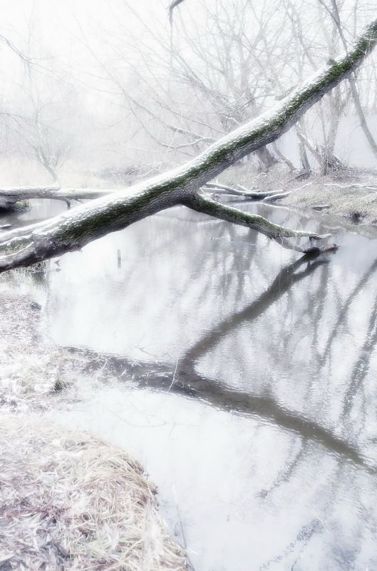 Минимализм....ноября... фото превью