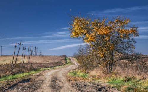Дорогой длинною...