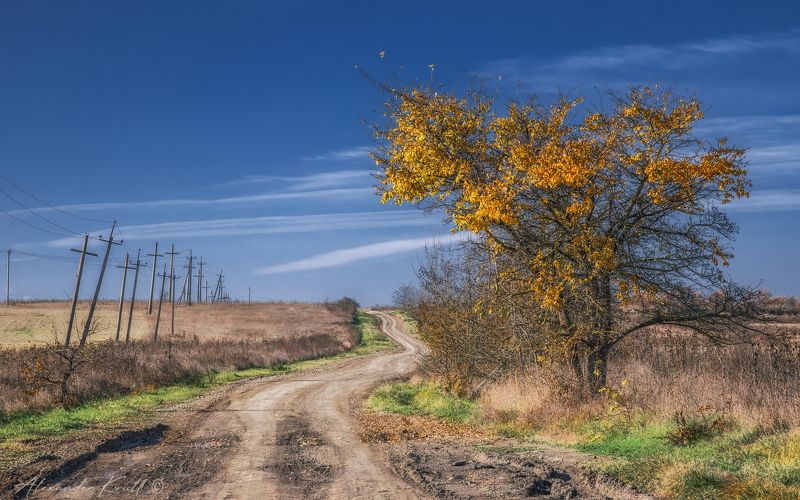 кубань, краснодарский край, дорога, поле, осень, алыча Дорогой длинною... фото превью