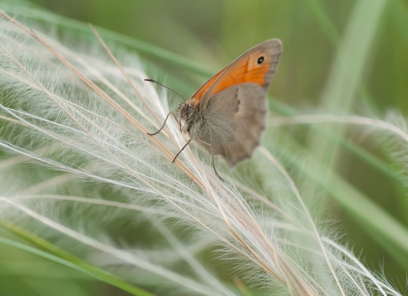Невесомость фото превью