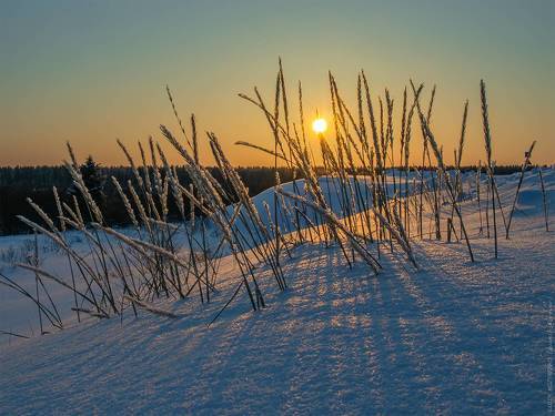 Когда солнце не греет