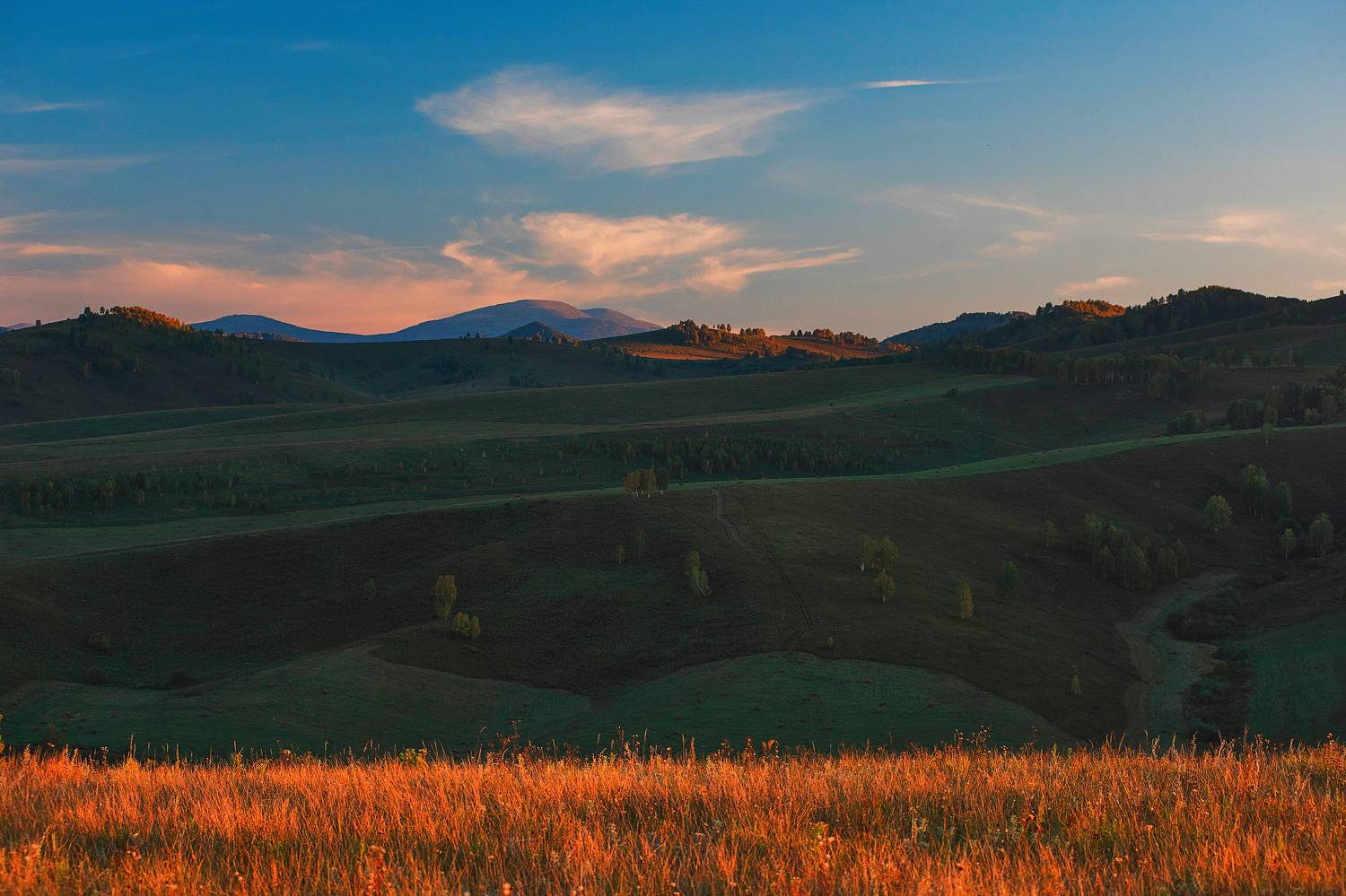 , Руслан Олинчук