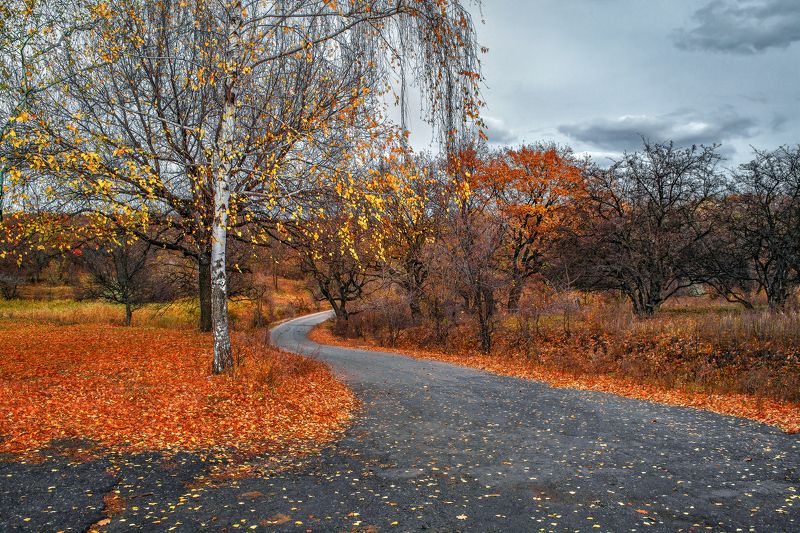 Путь к краю осени фото превью