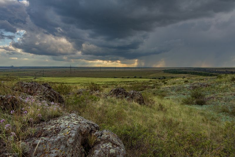 оренбургская область, природа, лето Перед грозой фото превью