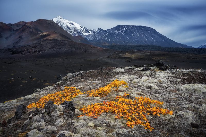 Камчатка фото превью