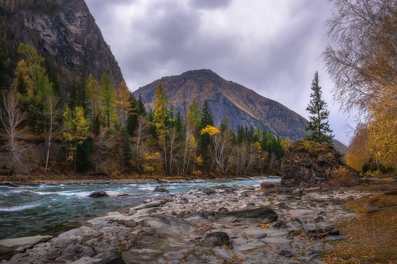 Пасмурно над Чуей фото превью