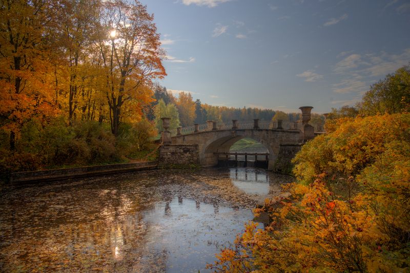 осенний Павловск... фото превью