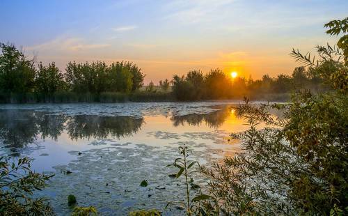 Рассвет в августе.