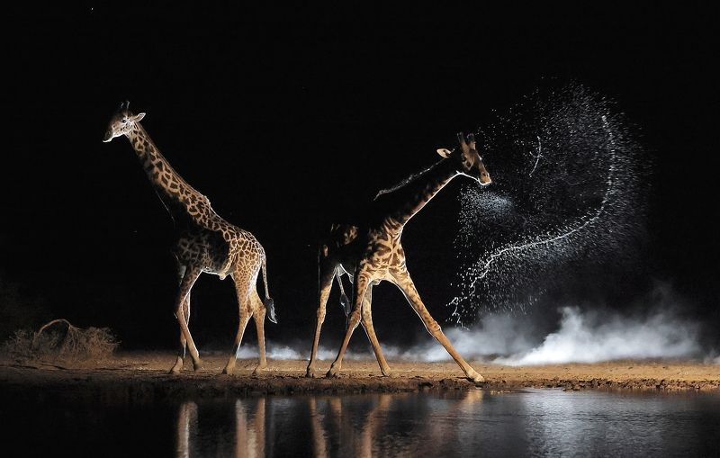 фото превью