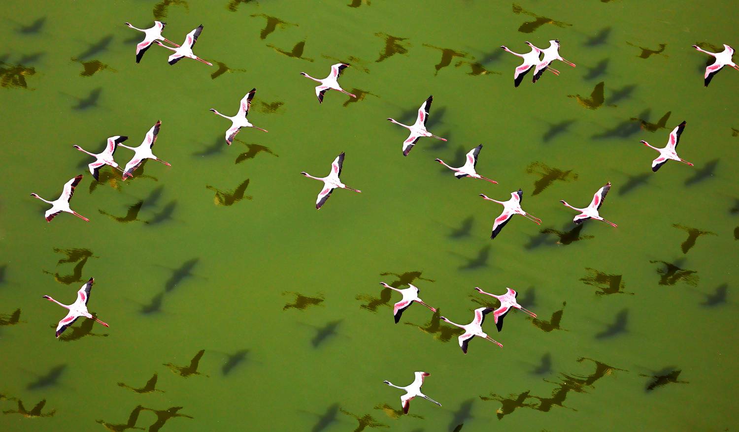 , Гудков Андрей