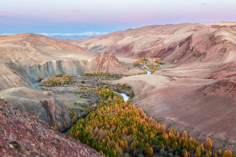 Урочище Кокоря (Горный Алтай) фото превью