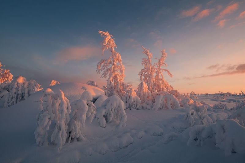 Морозная живопись фото превью