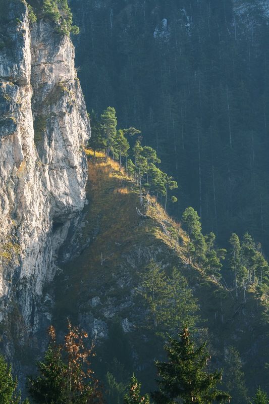 Где-то в горах фото превью