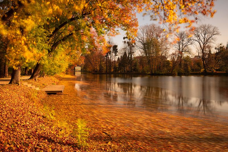 Autumn фото превью