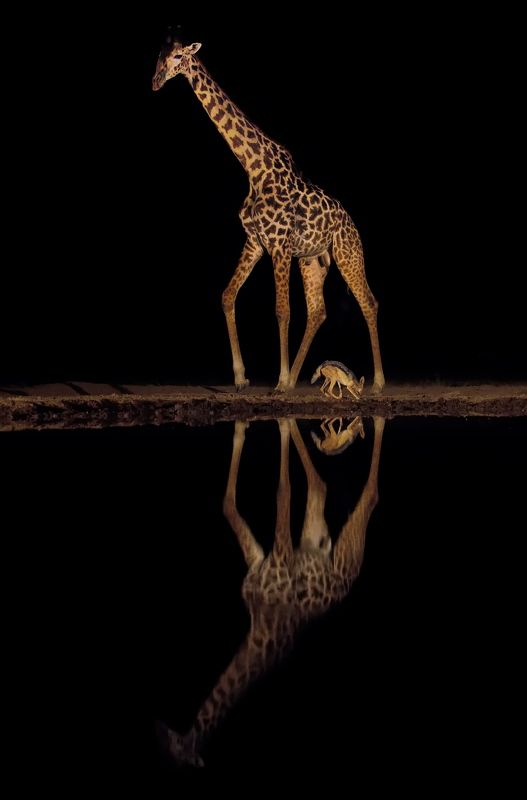 Друзья фото превью