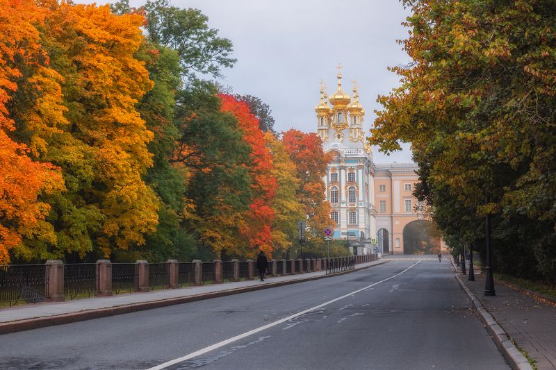 санкт-петербург, осень, утро, екатерининский парк, царское село, пейзаж, пушкин Царскосельская осень фото превью