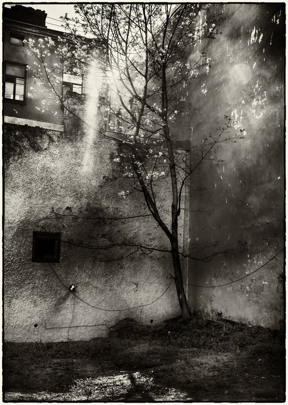 *** фото превью