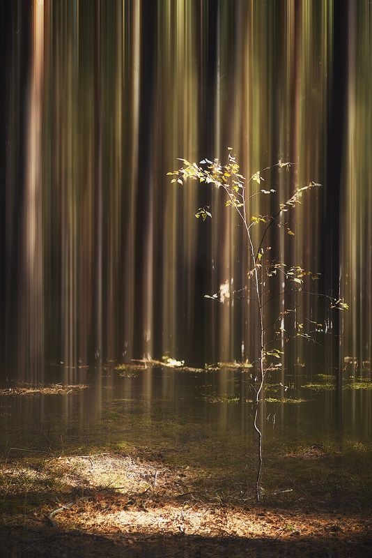 Яркий сезон фото превью