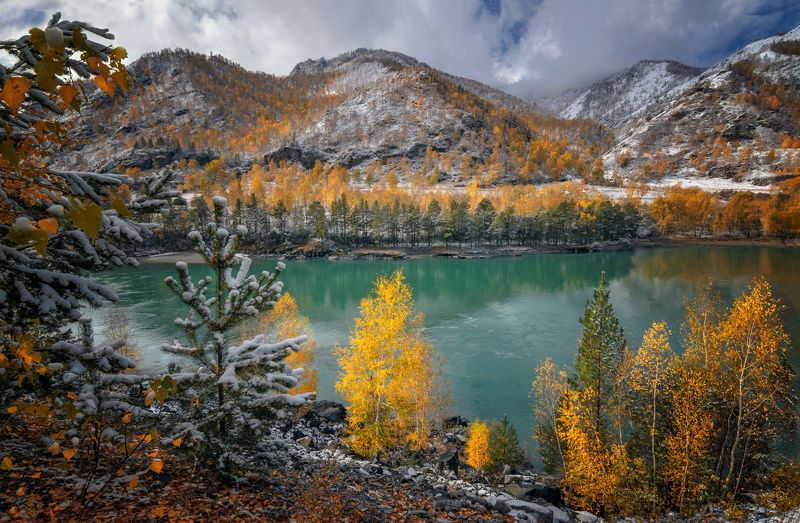 горный алтай,сентябрь,чемальский район,берег катуни,свежий снег Катунь в сентябре..... фото превью