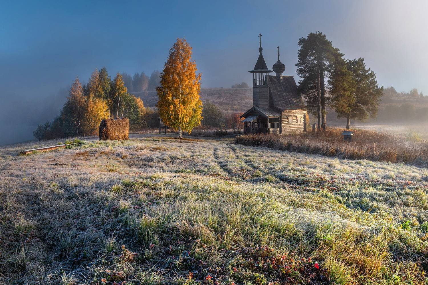 , Журавлев Александр