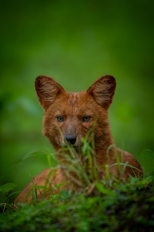 Small but Mighty фото превью