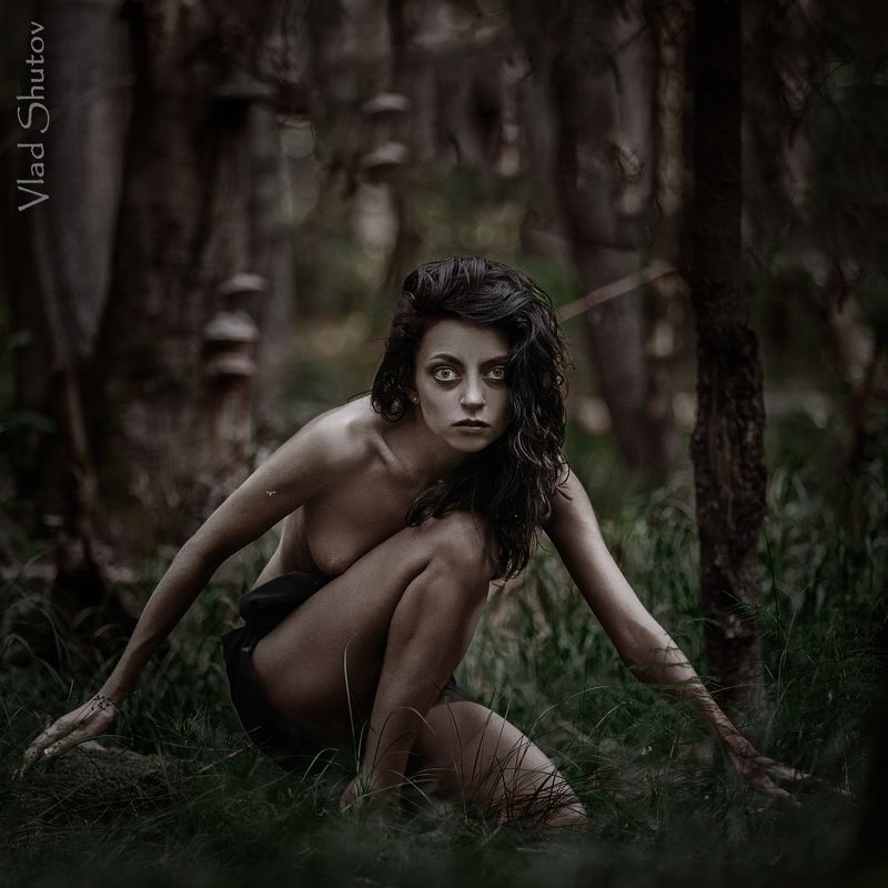 *** фото превью