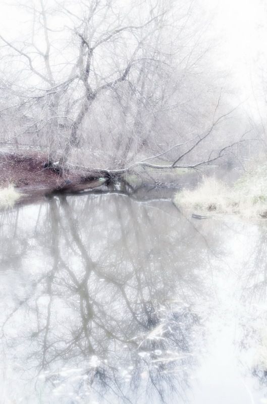 Прогулка по реке Талка... фото превью