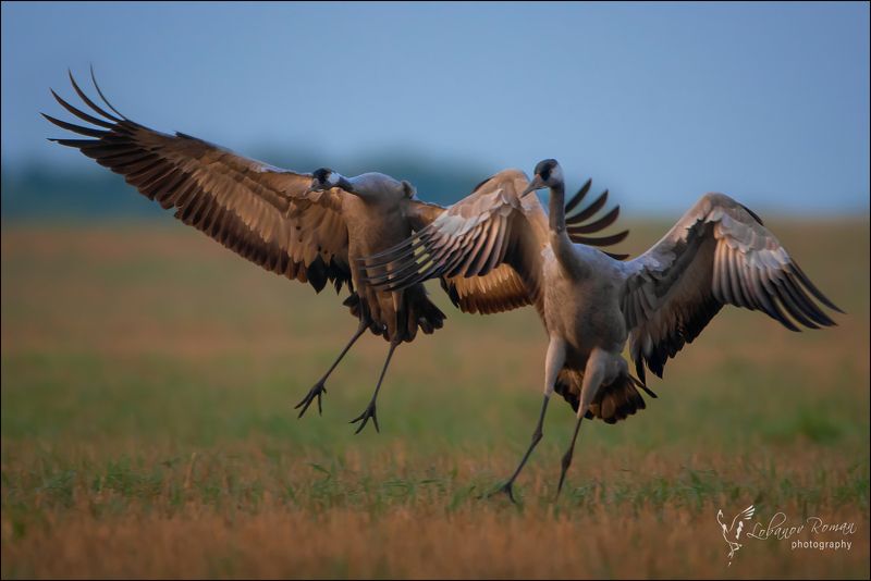На посадку...  фото превью