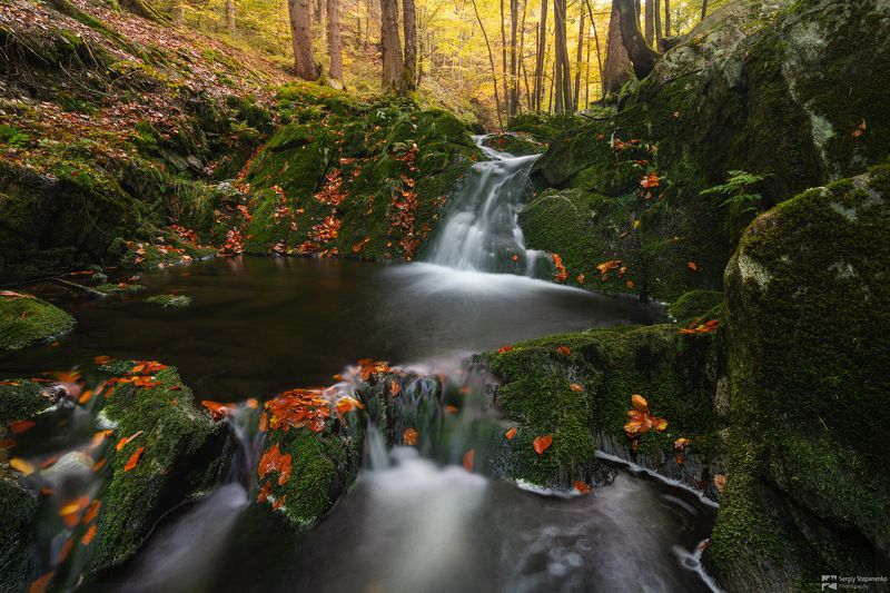 On the Stream фото превью