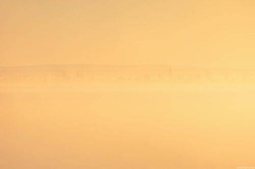 Золотой Тиман