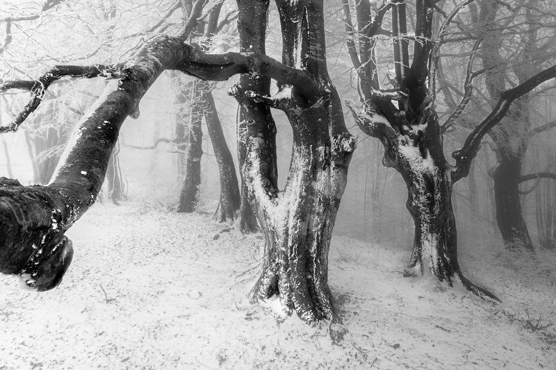 Winter mood фото превью