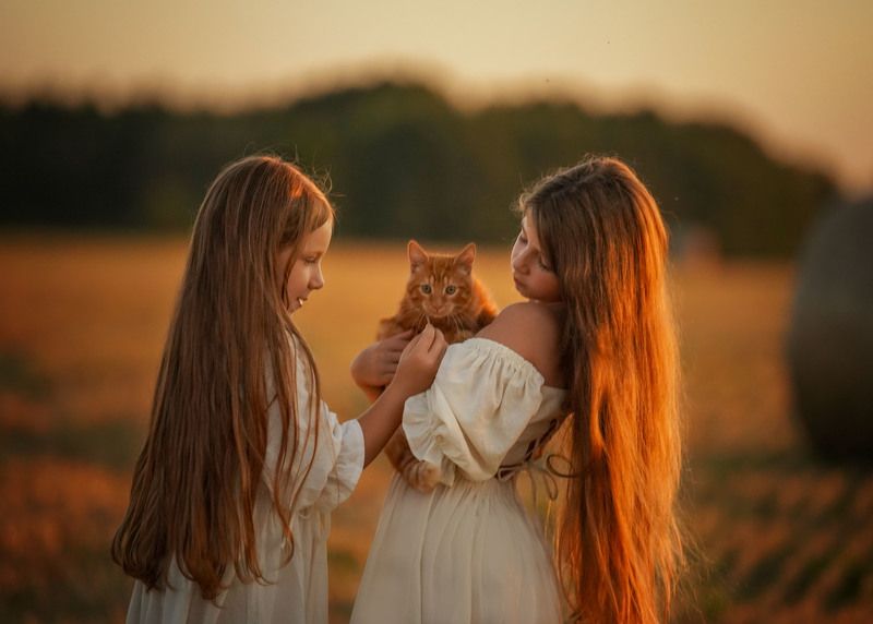 фото превью