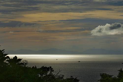 20 лет после цунами