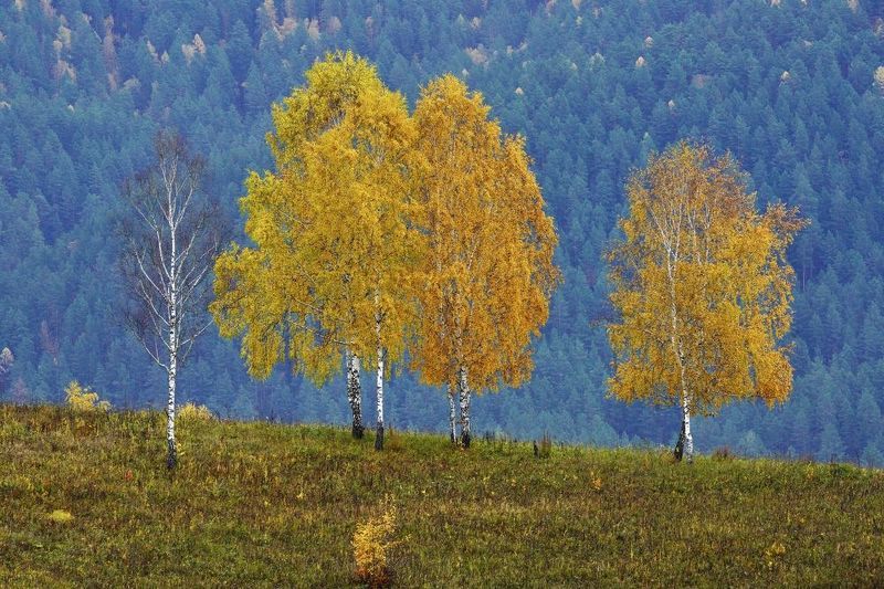 Камлак - октябрь фото превью