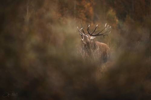 Осенний круговорот