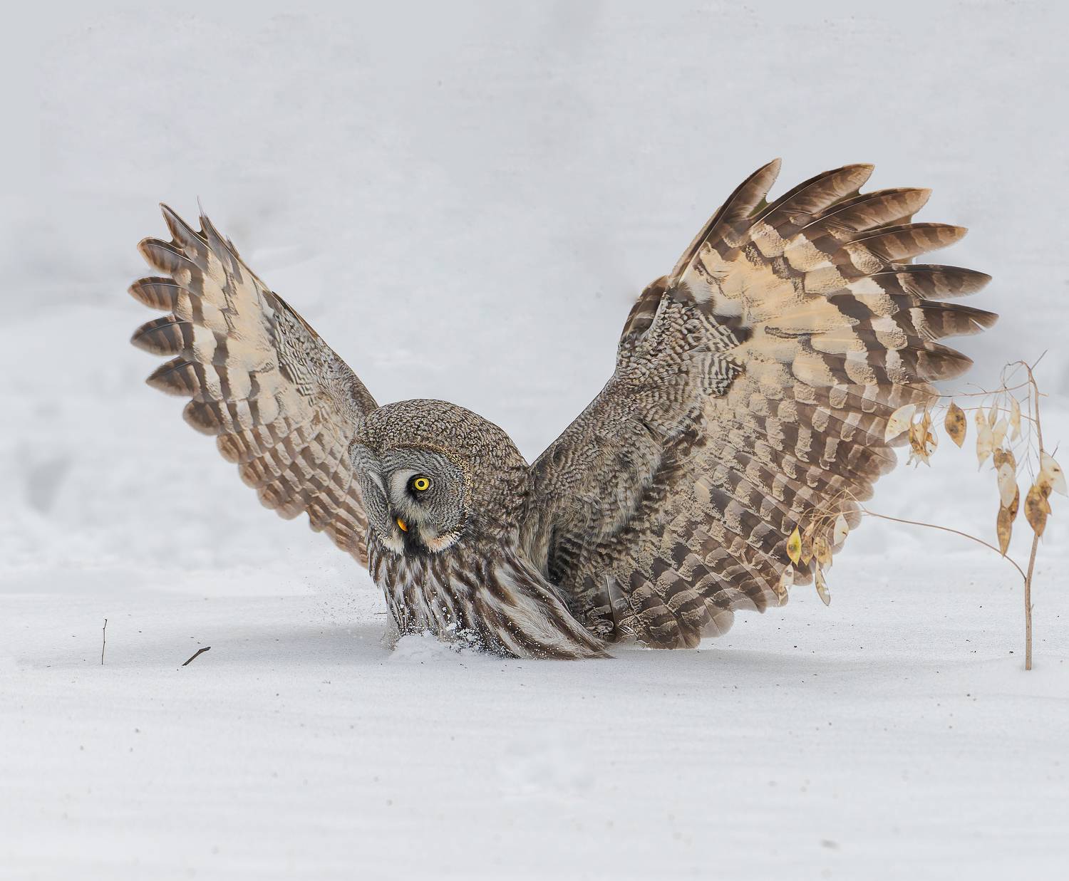 , Фото Александр