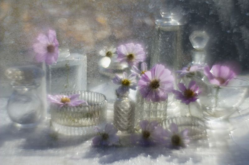 Бокешки, цветочки, капельки фото превью