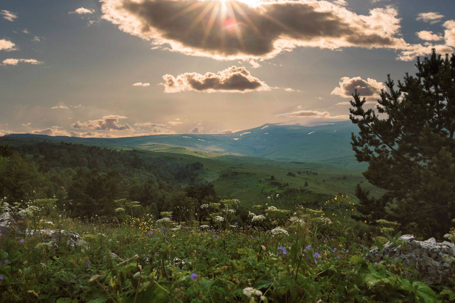 , Даников Анастасия