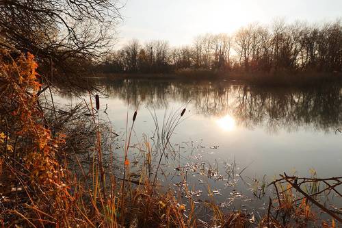 Залив реки..