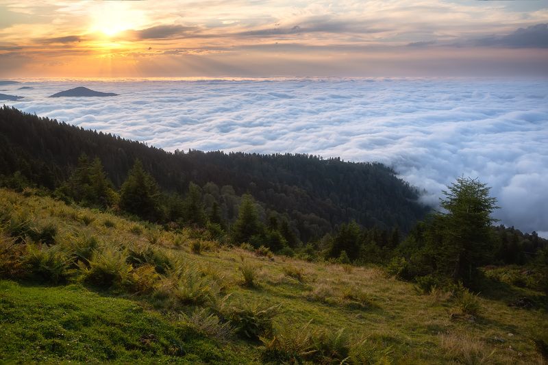 Небесная пена фото превью